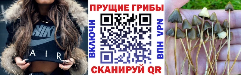 Галлюциногенные грибы прущие грибы  Бронницы 